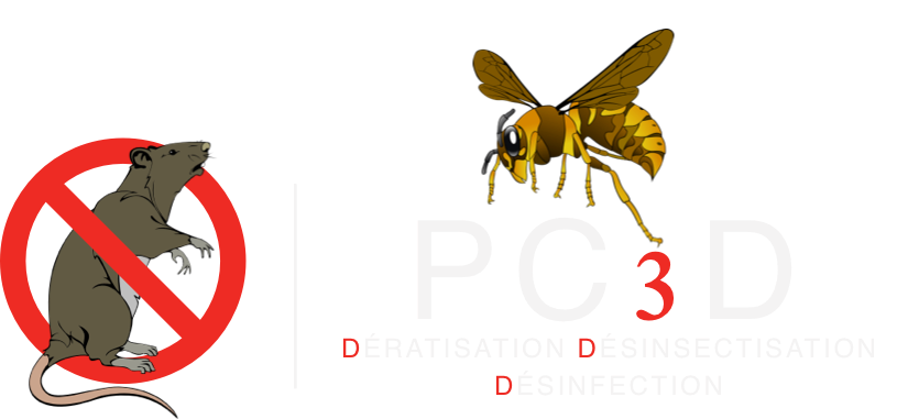 logo PC3D